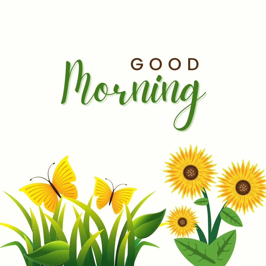80+ Good morning images free to download 8